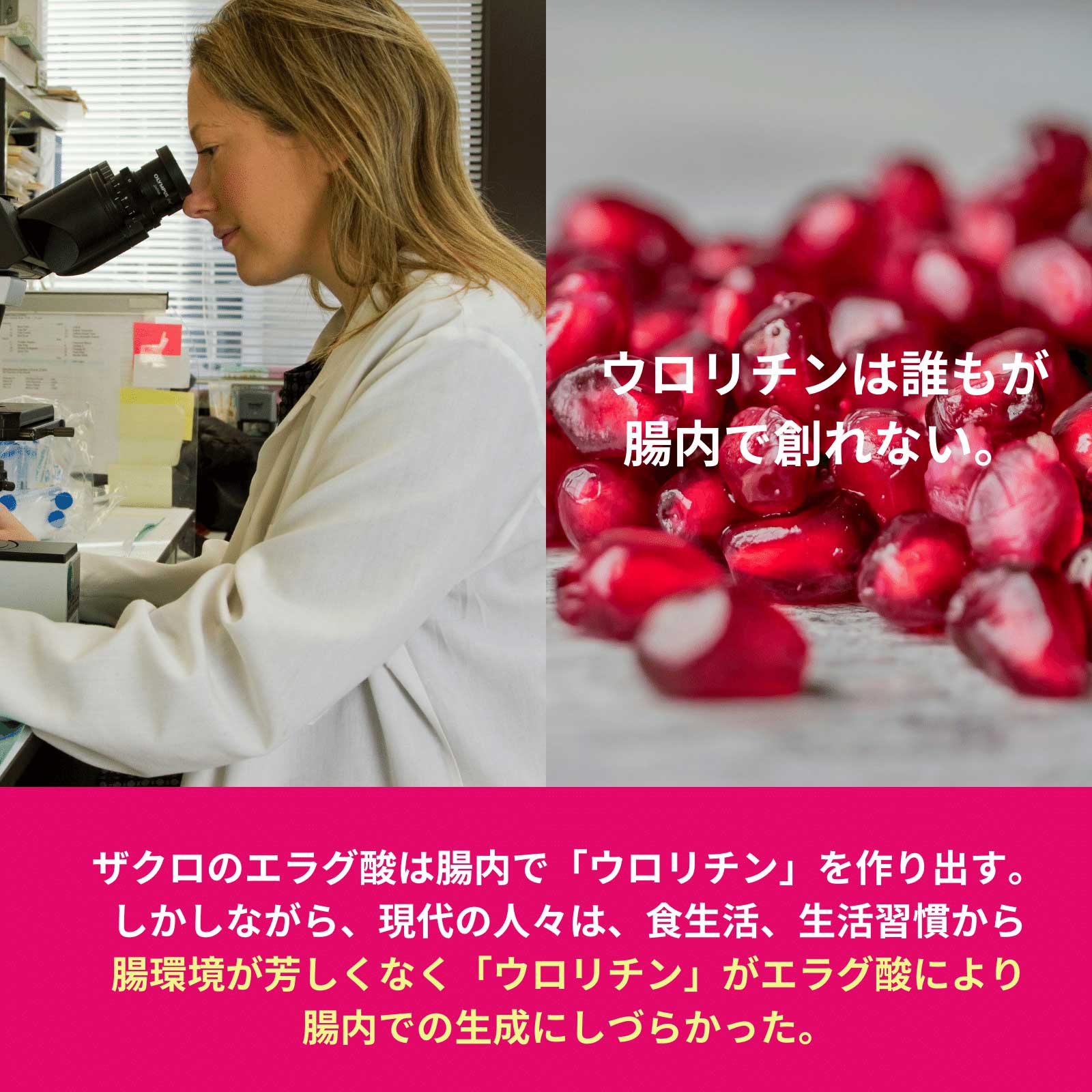 312 ル ファージュ Le Phagie 