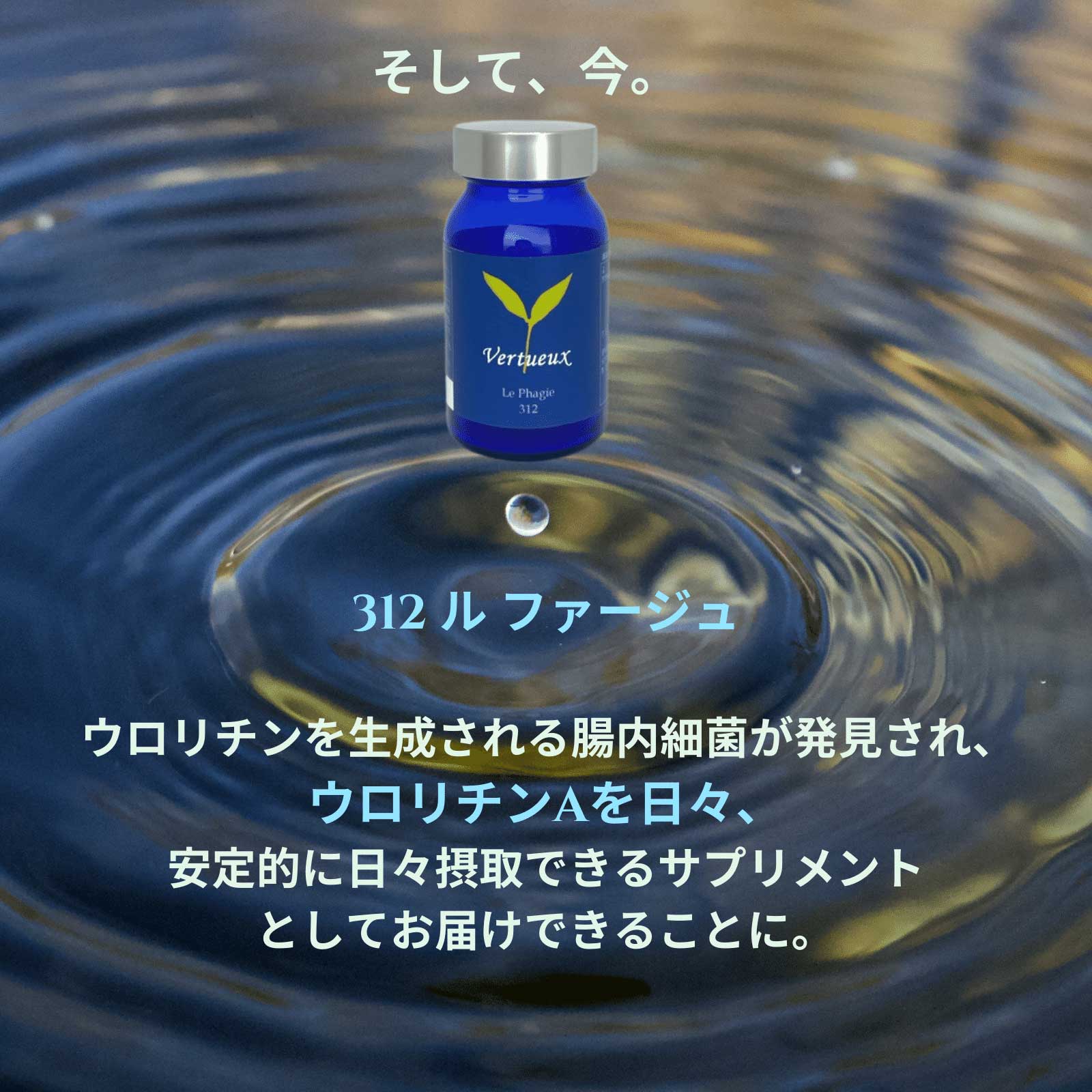 312 ル ファージュ Le Phagie 