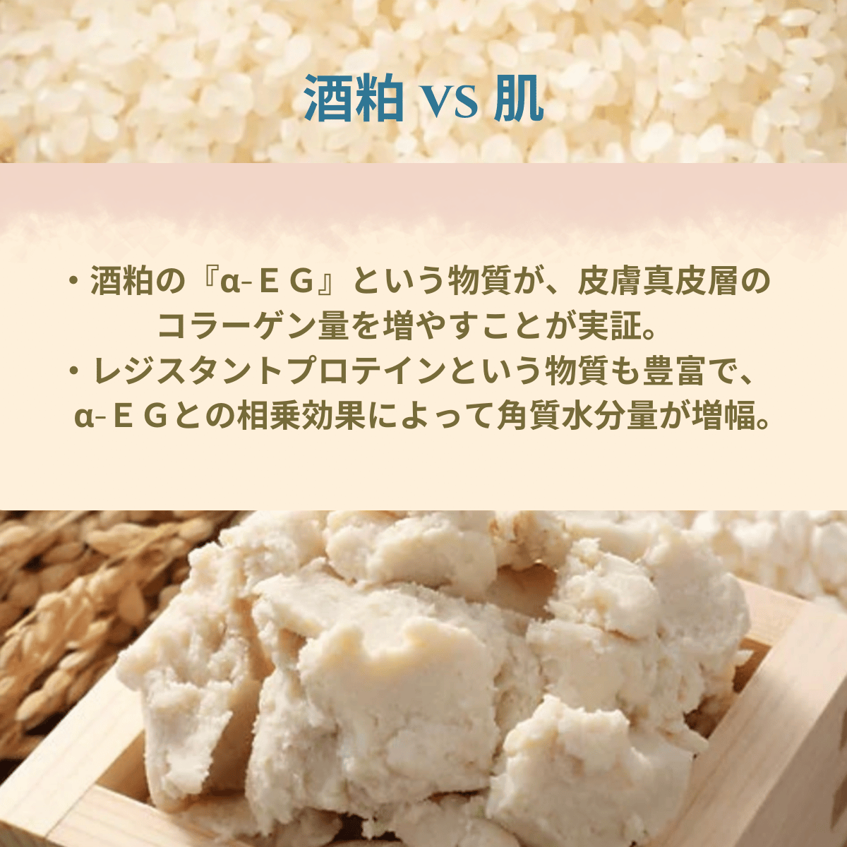 S008 フィトオーセンティック 酒粕ソープ 85g