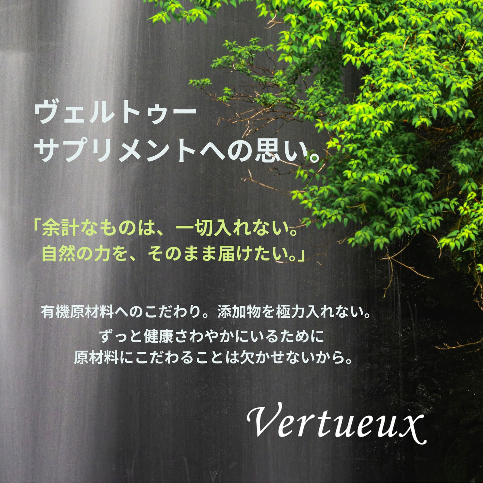 313 アルガトリウム Algatrium DHA EPA