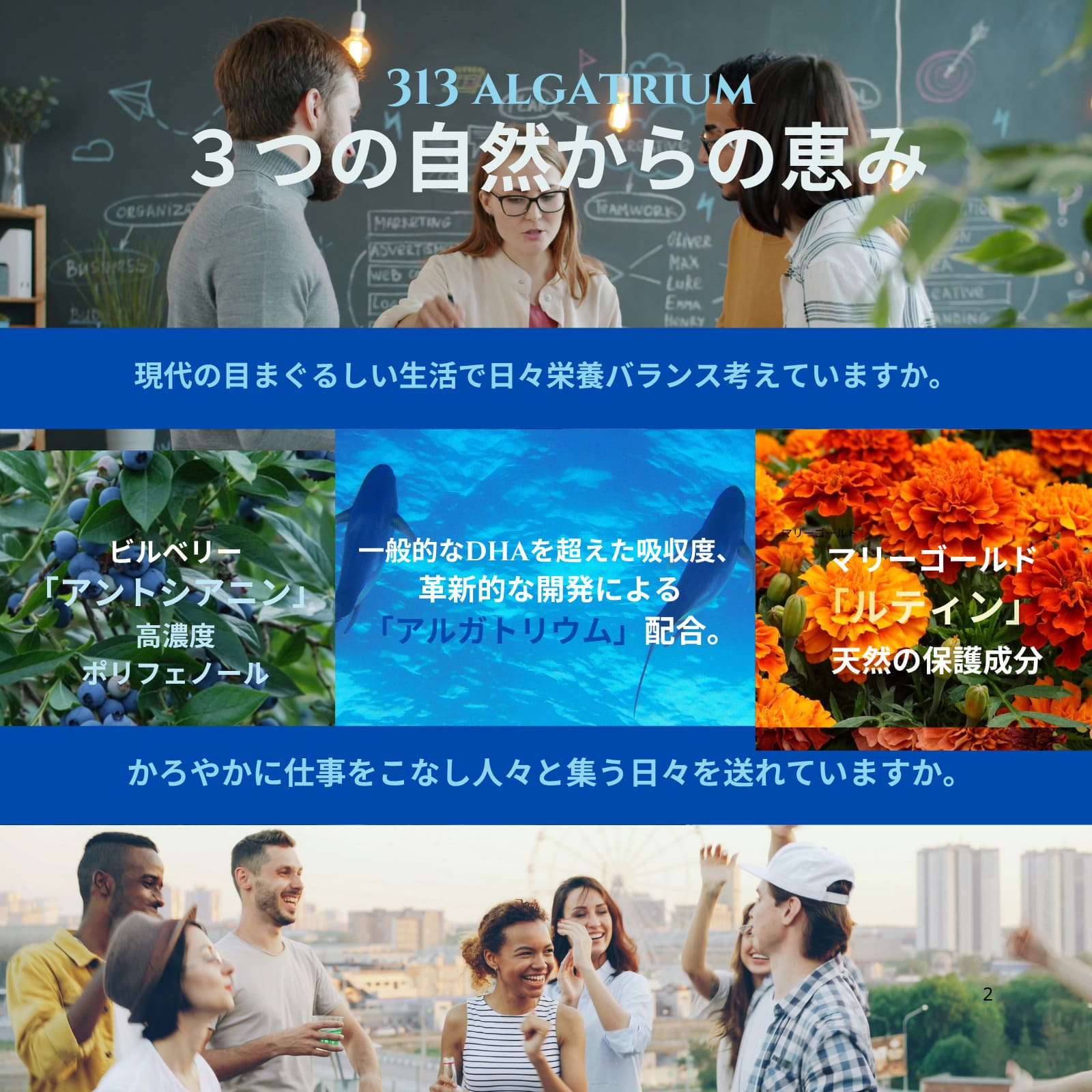 313 アルガトリウム Algatrium DHA EPA