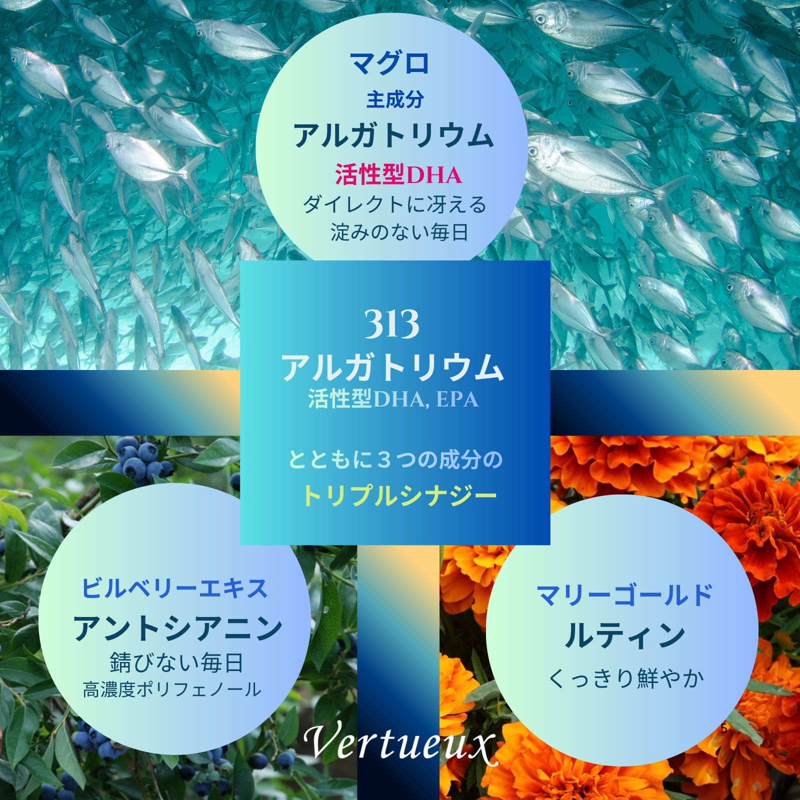 313 アルガトリウム Algatrium DHA EPA