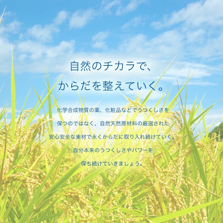 302 レンズィム 120粒