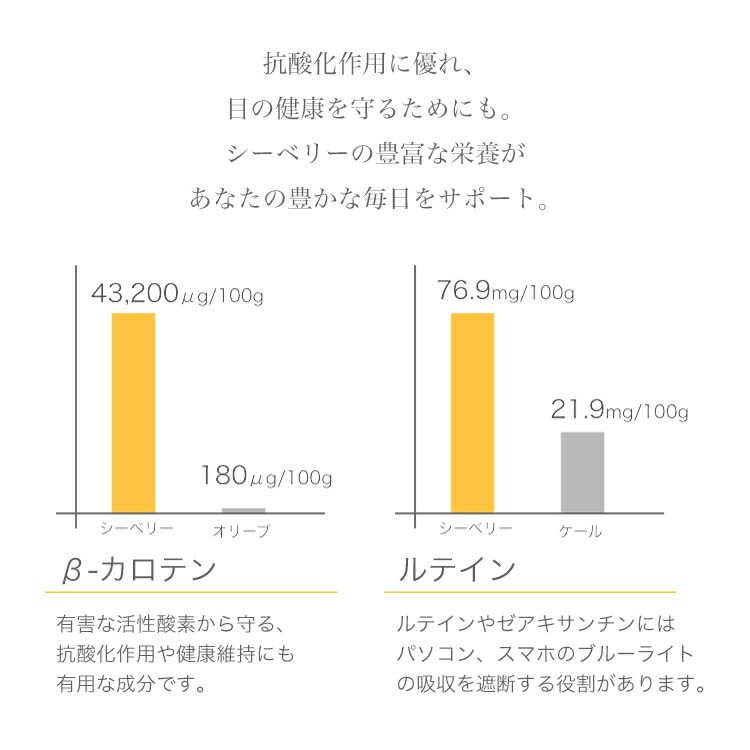 309 シーベリー 90粒