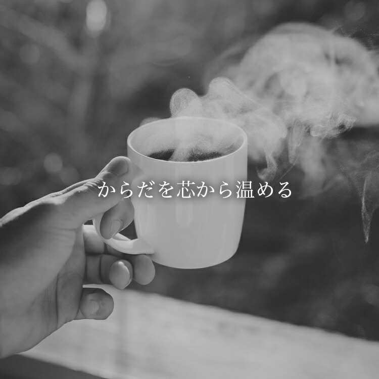 玄米焙煎 100g 【５個セット】