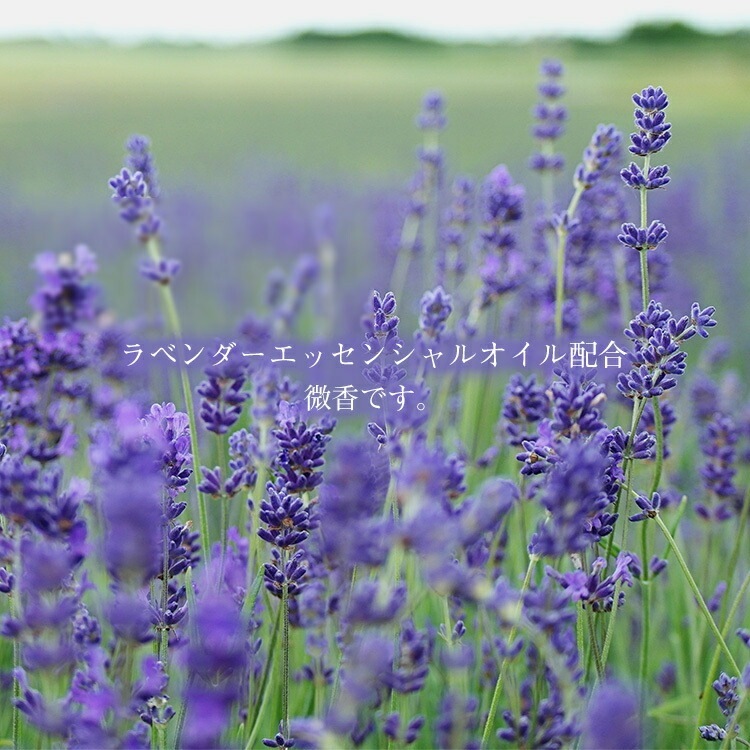 【 セット 】 ヴェルトゥー 肌リカバリー キット 乾燥肌対策 うるおい みずみずしさフェイスローション 酵素ローション 乾燥対策 活性酸素 レミュー EMU エキストラバージンオリーブオイル シルク ソープ ハリ 弾力 肌再生 発酵の力 肌荒れ対策