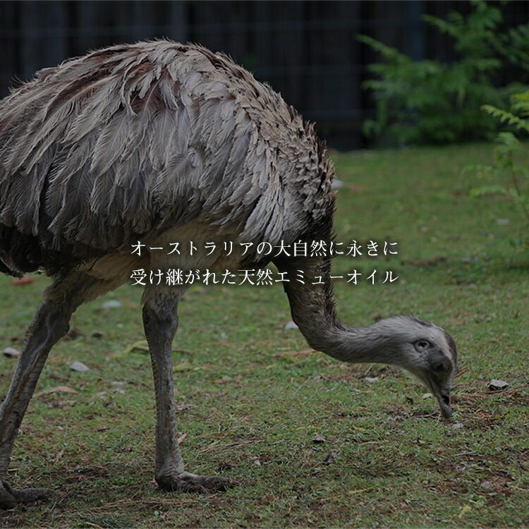 【 セット 】 ヴェルトゥー 肌リカバリー キット 乾燥肌対策 うるおい みずみずしさフェイスローション 酵素ローション 乾燥対策 活性酸素 レミュー EMU エキストラバージンオリーブオイル シルク ソープ ハリ 弾力 肌再生 発酵の力 肌荒れ対策