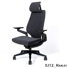 【当店在庫商品】Steelcase ジェスチャー ブラックフレーム ヘッド付き Harley(New Black)