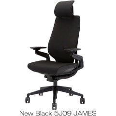 【当店在庫商品】Steelcase ジェスチャー ブラックフレーム ヘッド付き New Black