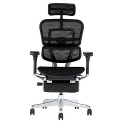 【メーカー取り寄せ商品 国内在庫あり時1～2週 国内在庫無し時最大3か月程度】エルゴヒューマン プロ2 座メッシュ オットマン内蔵型