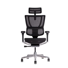 【メーカー取り寄せ商品 国内在庫あり時1～2週 国内在庫無し時最大3か月程度】エルゴヒューマン フィット2 座メッシュ