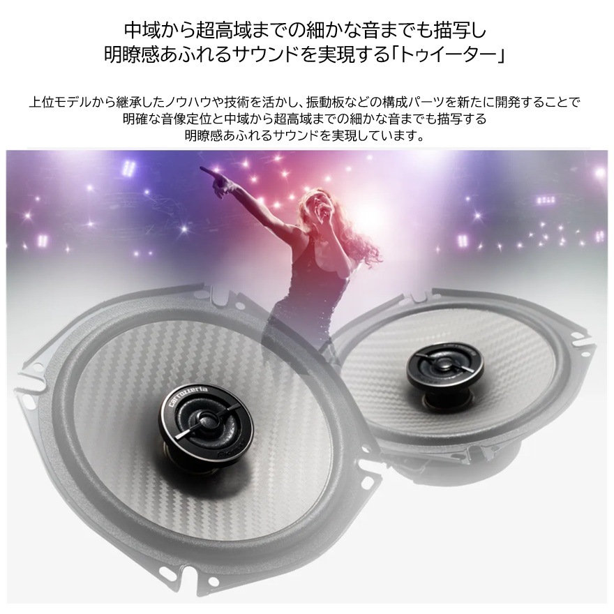 �ѥ����˥������ԡ�������TS-F1750