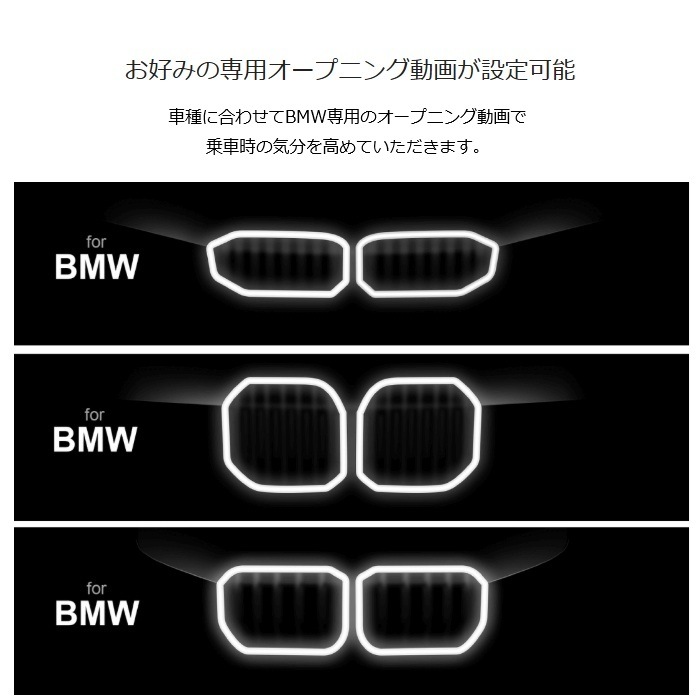 ����ѥ���BMW����9���ǥ�����ߥ顼�����ѥꥢ������ǥ롡DMR-DM900-BMW-IC