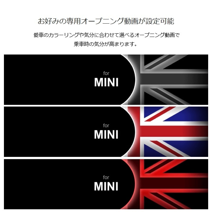 ����ѥ���MINI����9���ǥ�����ߥ顼�����ѥꥢ������ǥ롡DMR-DM900-MINI-IC