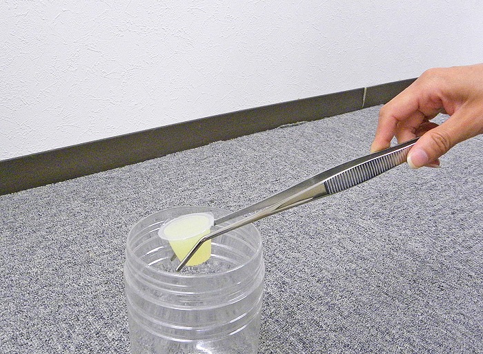 ���������� �緿�ԥ󥻥åȡʶʤ������ס�