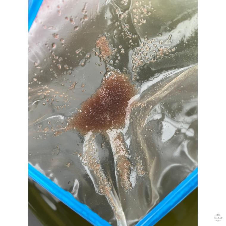 丸型 密網ネット Mサイズ 100本セット メダカ めだかミジンコ 熱帯魚 タモ Amazon.co.jp: 8個密目小さい丸型 フィッシュネットミジンコ網