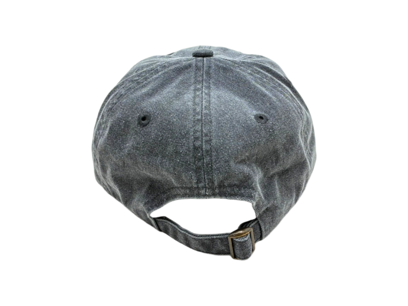 EXPO2025　ウォッシュキャップ　