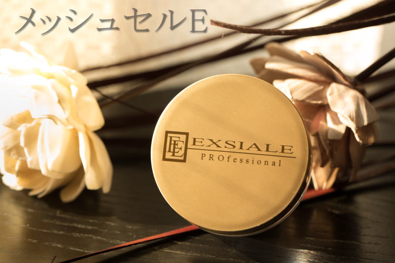 エクシアル EXSIALE メッシュセル 無色ファンデーション 無色ファンデ 無色ファンデ メッシュセルE (anb110) | 全商品 | エクシアル