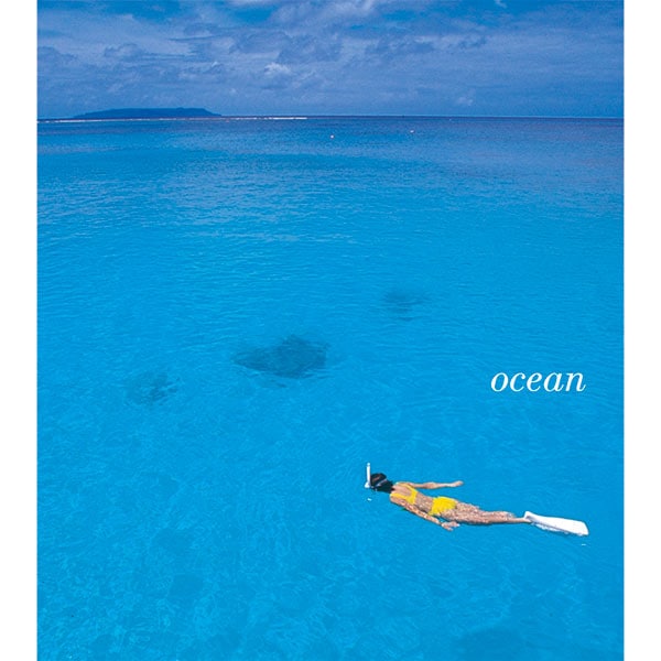Amazon.co.jp: トーベとトゥーティの欧州旅行 [DVD] : トーベ