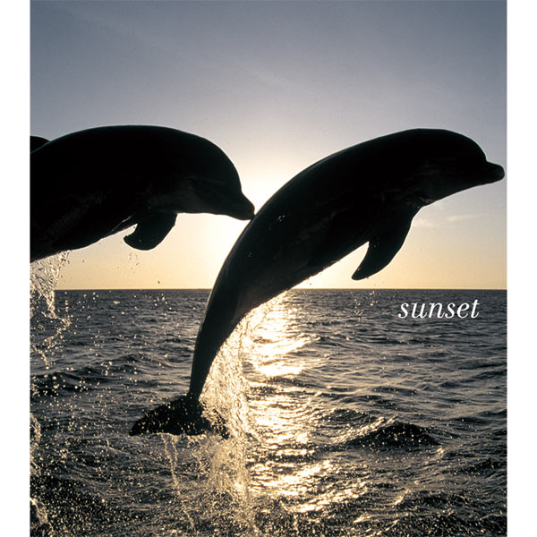 �ҳ������ι��Sunset