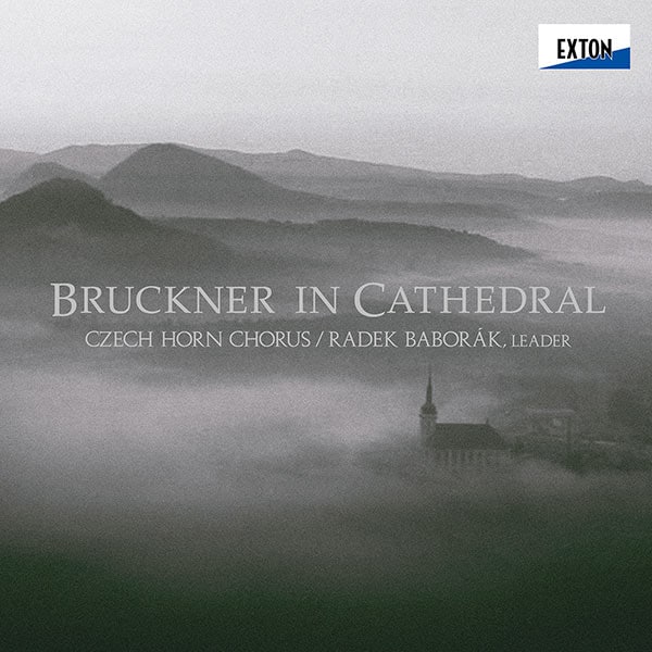 EXTON׎Ύގ׎Ď؎Ŏێގڎݡ֥åʡ󡦥ƥɥ