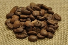 ������ӥ����Σ��������