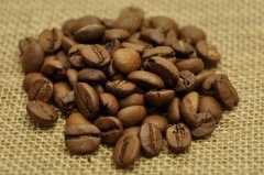 �֥饸�롡�Σ��������