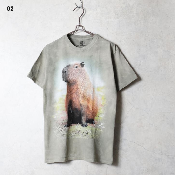 THE MOUNTAIN / ザマウンテン TM2621 THE MOUNTAIN T-SHIRT / ザマウンテンTシャツ -全6色- 