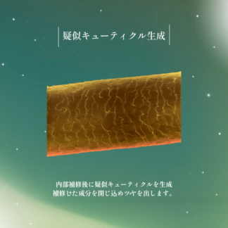 【ピュアカール】ポイント②