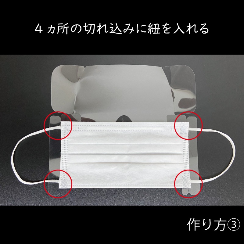 アイシールド　10枚入