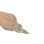 �ڥ��åȺޤ����᤯���ۤǤ���ۥץ졼�ȥ��