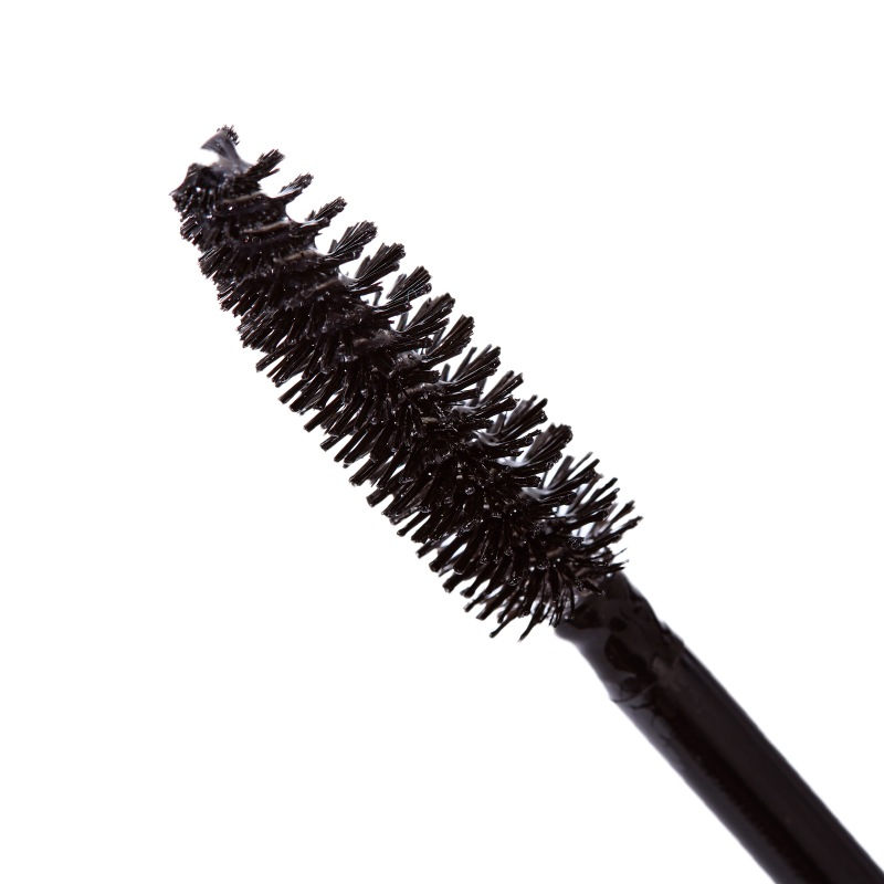 �ץ�쥷�� �ȥ�󥹥ѥ��ޥ�����ȥ꡼�ȥ��� �ץ饹 ��1�ܡ�