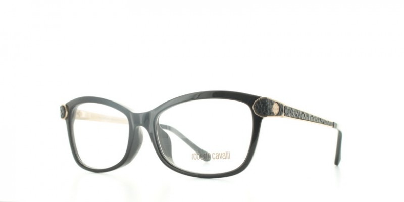 ROBERTO CAVALLI Frames(RC0933-F-54001)