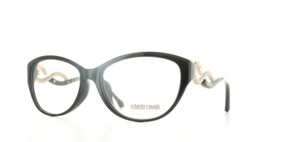 ROBERTO CAVALLI Frames(RC0938-F-58001)