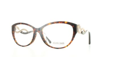 ROBERTO CAVALLI Frames(RC0938-F-58052)