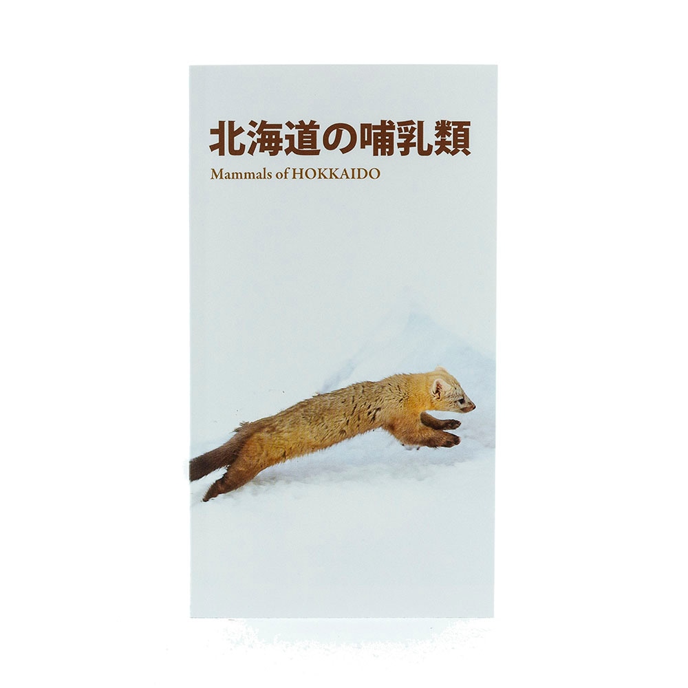 【美品】北海道大学図書刊行会 知床の動物 ebe8ca2df4159c4c7c411a693124df