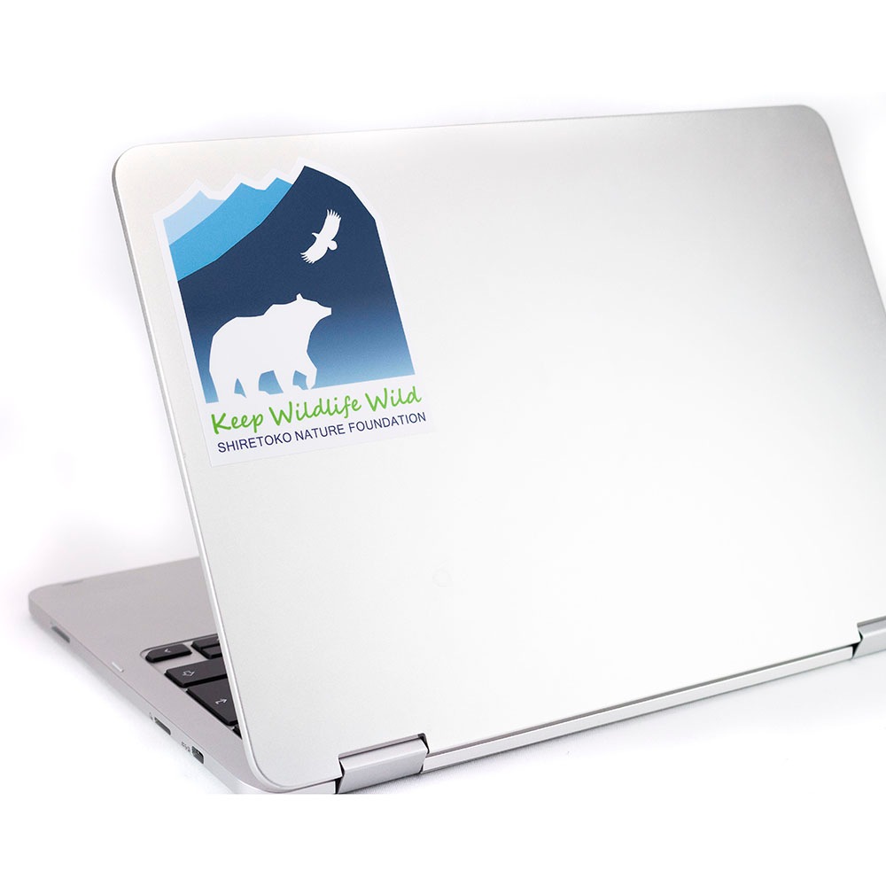 �������ƥå���