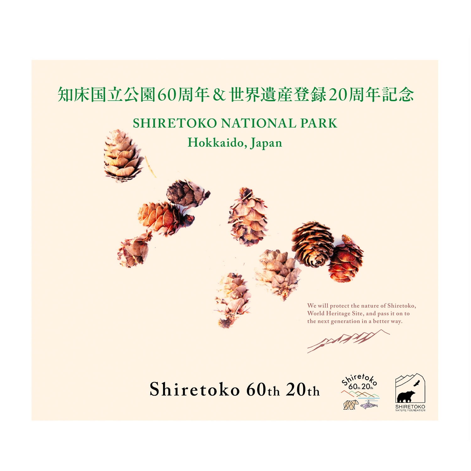 ξΩ60ǯ仺Ͽ20ǯ ǰڼ