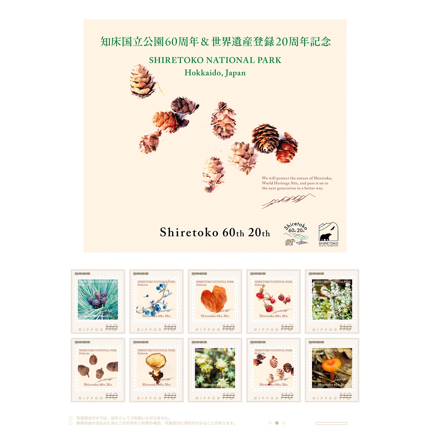 ξΩ60ǯ仺Ͽ20ǯ ǰڼ