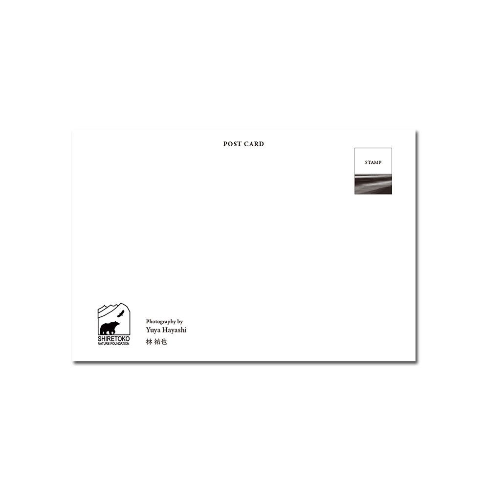 ��ʹ��ݥ��ȥ����ɥ��å�