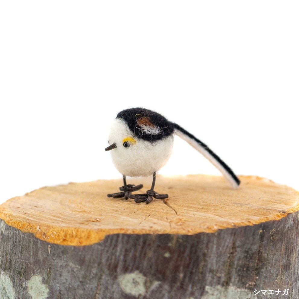 դΤˤΤΤŤ깩˼äɤ