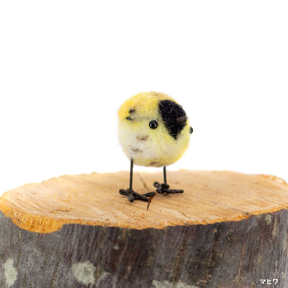 դΤˤΤΤŤ깩˼äɤ