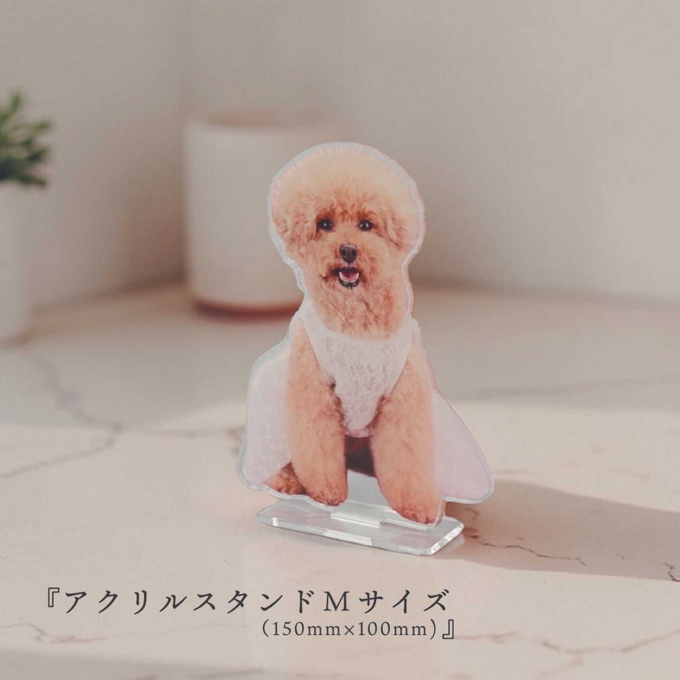 アクリルスタンド | Fab a Nice Day
