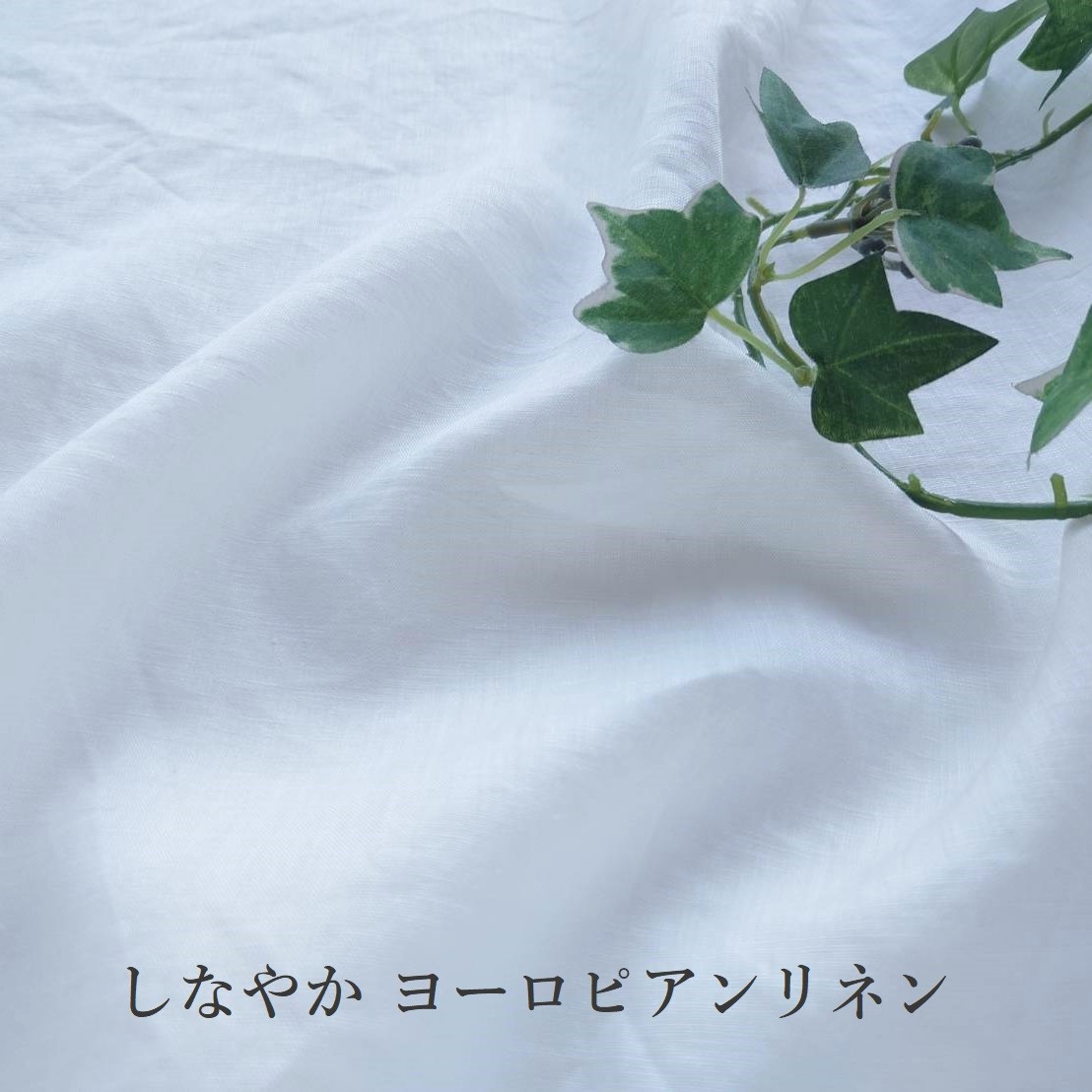 O様別注しなやかヨーロピアン