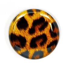 �Хå�/LEOPARD(25mm��