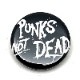 Хå/PUNKS NOT DEAD(25mm