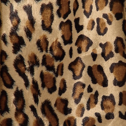 ��ѡ��ɡ��ե����쥶���֥륾��