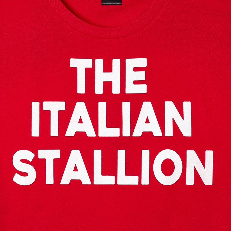 THE ITALIAN STALLION��666 ORIGINAL T-SHIRT��