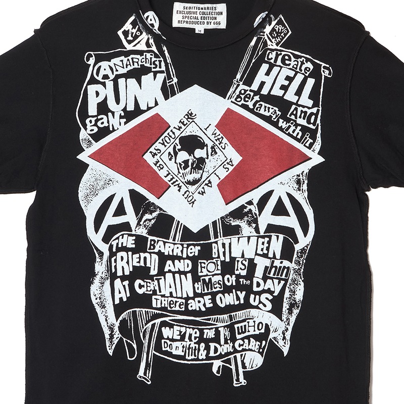 T ANARCHY PUNK GANG(ǥʥ꡼)