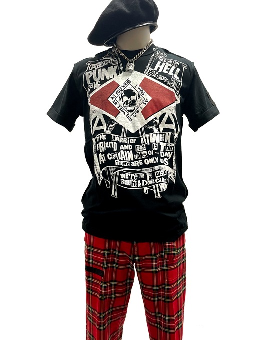 T ANARCHY PUNK GANG(ǥʥ꡼)
